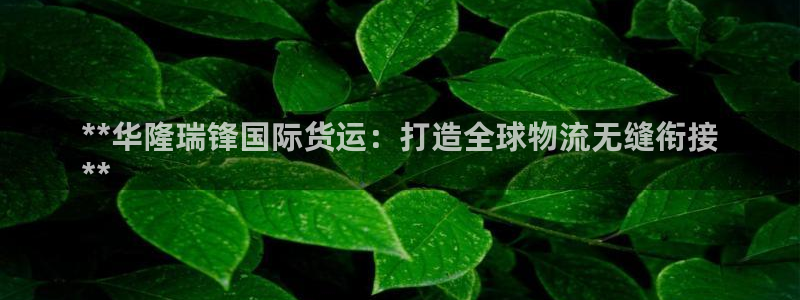 尊龙凯时赢不了：**华隆瑞锋国际货运：打造全球物流无缝衔