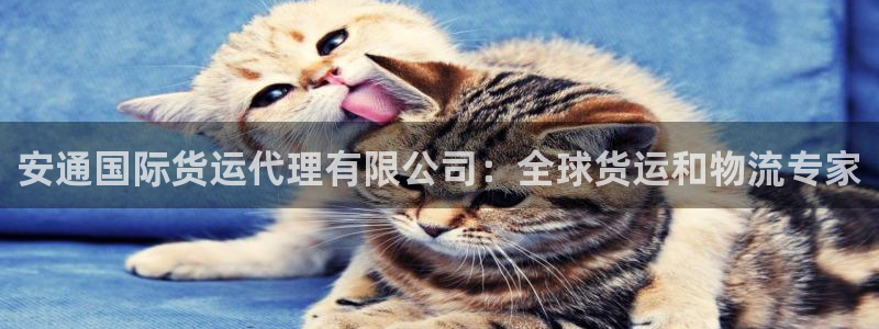 尊龙凯时处理未到账：安通国际货运代理有限公司：全球货运和