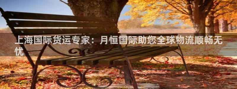 尊龙物流官网：上海国际货运专家：月恒国际助您全球物流顺畅
