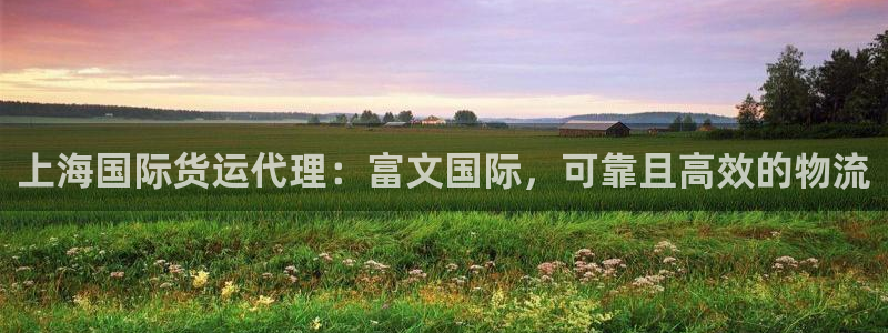 尊龙人生就是博首页入口：上海国际货运代理：富文国际，可靠