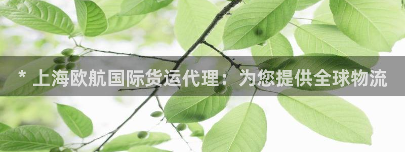尊龙凯时开发：* 上海欧航国际货运代理：为您提供全球物流