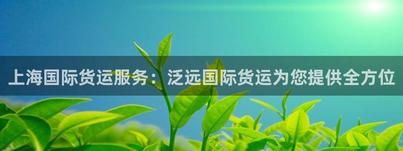 尊龙凯时取款一直支付中：上海国际货运服务：泛远国际货运为
