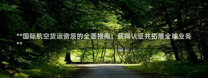 尊龙凯时企业文化：**国际航空货运资质的全面指南：获得认