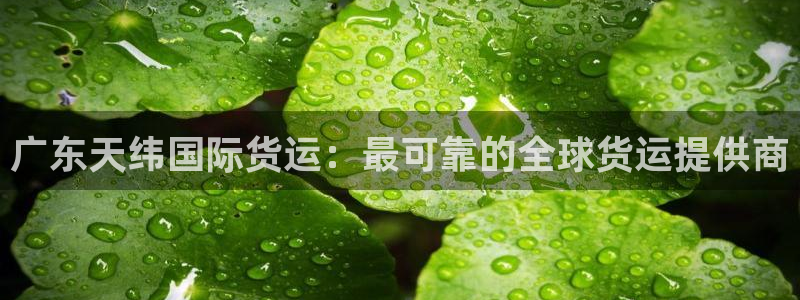 尊龙人生就是博登录准认来就送38：广东天纬国际货运：最可