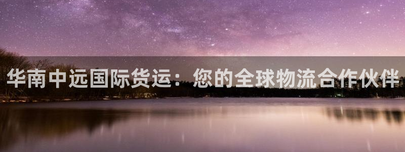 尊龙凯时下载官方正版：华南中远国际货运：您的全球物流合作