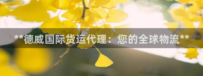 尊龙app最新版本官网：**德威国际货运代理：您的全球物