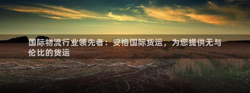 尊龙 国外：国际物流行业领先者：安格国际货运，为您提供无