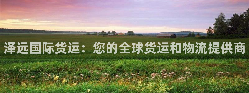 尊龙集团：泽远国际货运：您的全球货运和物流提供商