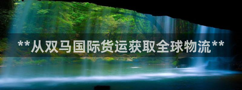 尊龙官方网站首页：**从双马国际货运获取全球物流**
