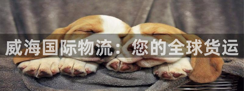 尊龙体育电竞官网：威海国际物流：您的全球货运