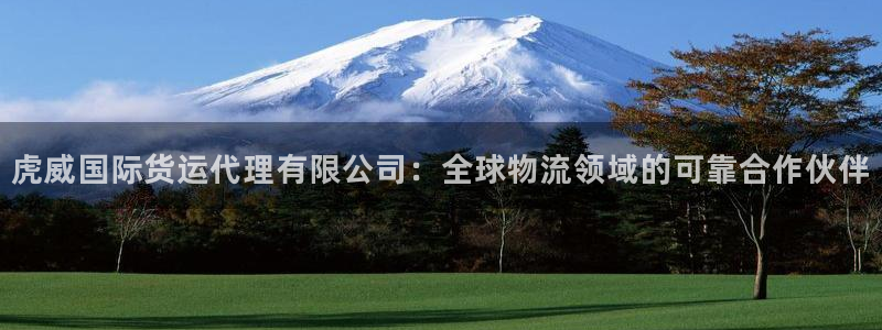 尊龙凯时取款不成功：虎威国际货运代理有限公司：全球物流领