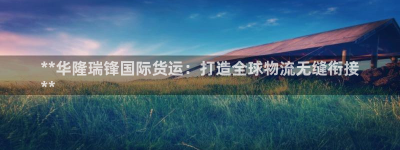 尊龙人生就是博网站下载：**华隆瑞锋国际货运：打造全球物