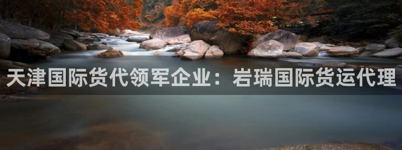 尊龙人生就是博：天津国际货代领军企业：岩瑞国际货运代理
