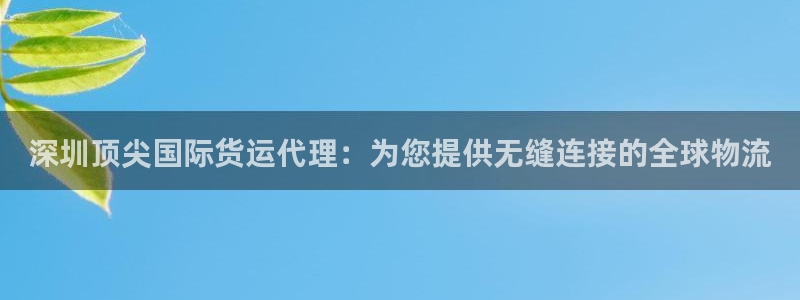 尊龙d88手机app免费下载：深圳顶尖国际货运代理：为您