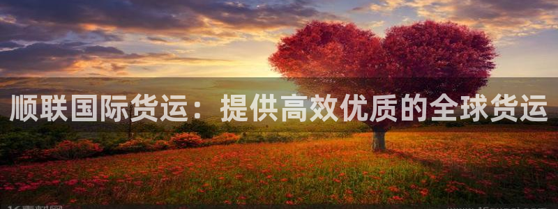 尊龙凯时人生就是博·(中国)官网首页：顺联国际货运：提供