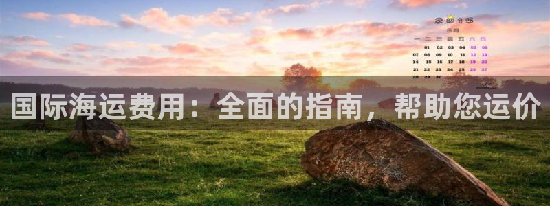 尊龙凯时人生就博：国际海运费用：全面的指南，帮助您运价