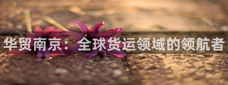 尊龙人生就是博ag旗舰厅：华贸南京：全球货运领域的领航者
