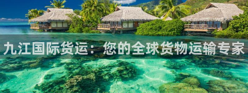 尊龙物流怎么样：九江国际货运：您的全球货物运输专家