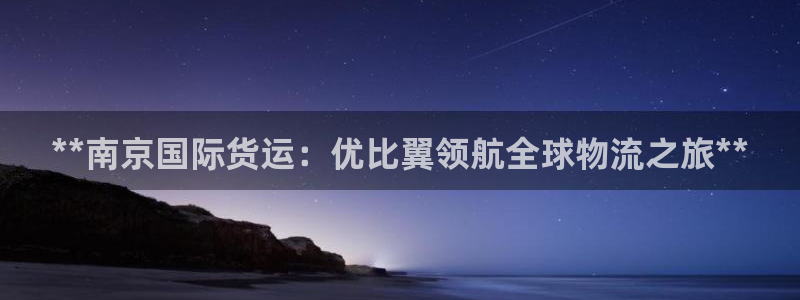 尊龙 下载：**南京国际货运：优比翼领航全球物流之旅**