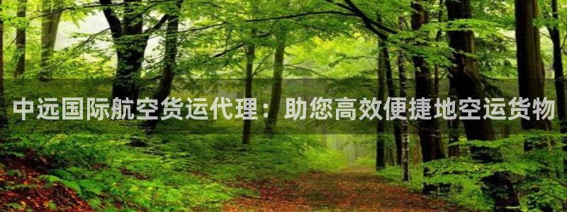 尊龙凯时法充十万返现多少：中远国际航空货运代理：助您高效