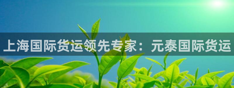 尊龙ag旗舰厅手机版：上海国际货运领先专家：元泰国际货运