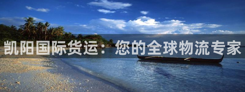尊龙注册码：凯阳国际货运：您的全球物流专家