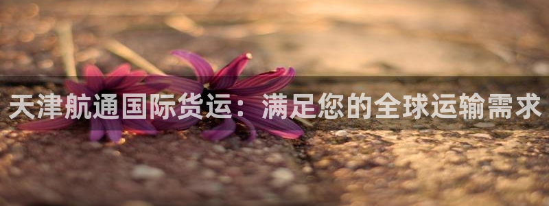 尊龙旗舰app：天津航通国际货运：满足您的全球运输需求