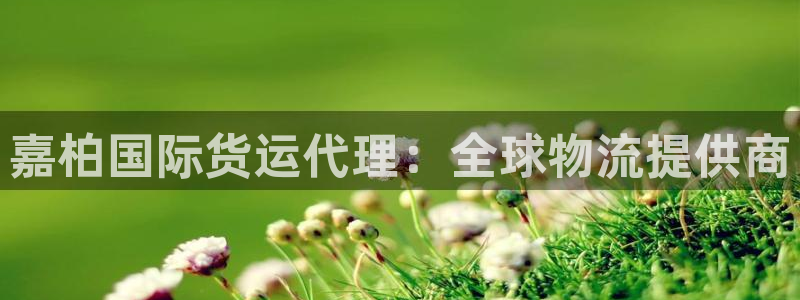 尊龙d88官网so问来就送38：嘉柏国际货运代理：全球物