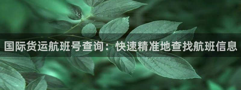 尊龙这个平台怎么样：国际货运航班号查询：快速精准地查找航