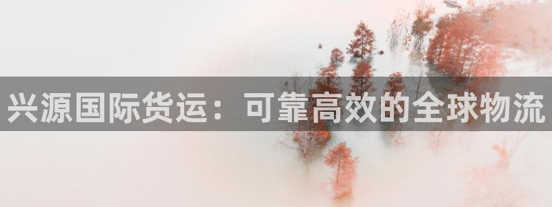 尊龙ag旗舰厅登录 租车app下载：兴源国际货运：可靠高