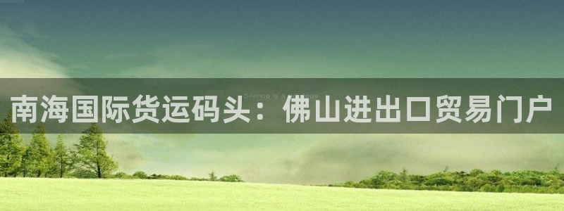 尊龙400：南海国际货运码头：佛山进出口贸易门户