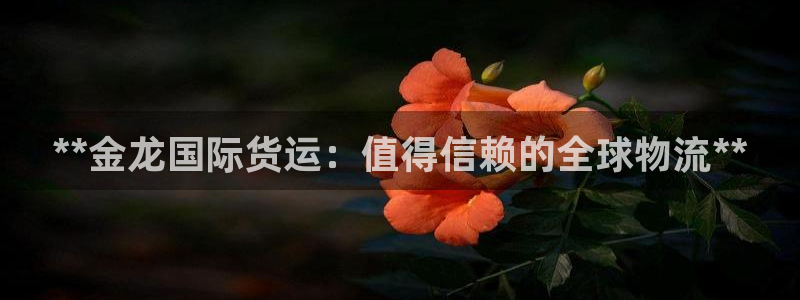 尊龙人生就是博l：**金龙国际货运：值得信赖的全球物流*