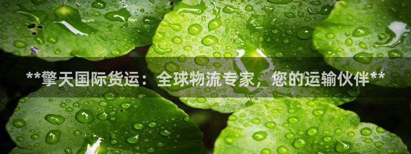 尊龙ag旗舰厅手机版：**擎天国际货运：全球物流专家，您