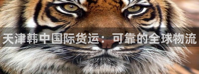百度一下尊龙：天津韩中国际货运：可靠的全球物流