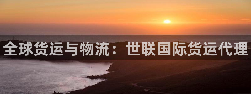 尊龙d88现金 旧版本可靠送38元：全球货运与物流：世联