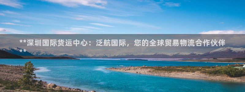 尊龙网址是多少：**深圳国际货运中心：泛航国际，您的全球
