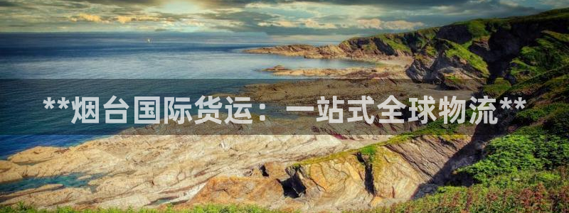 尊龙官网下载：**烟台国际货运：一站式全球物流**