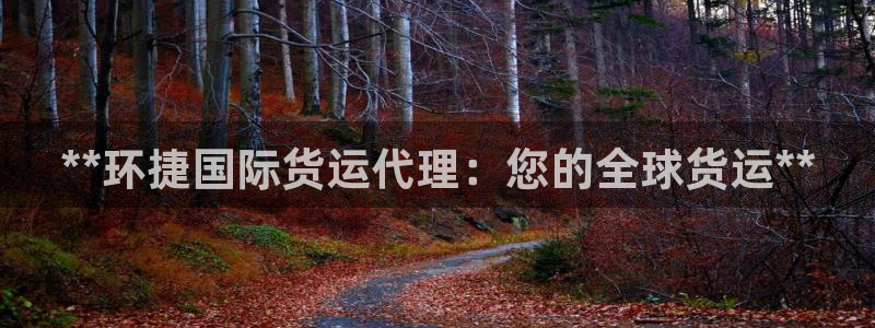 尊龙凯时vip：**环捷国际货运代理：您的全球货运**