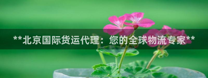 尊龙凯时捕鱼游戏能玩吗：**北京国际货运代理：您的全球物