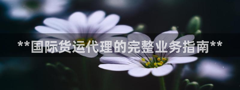 尊龙集团：**国际货运代理的完整业务指南**