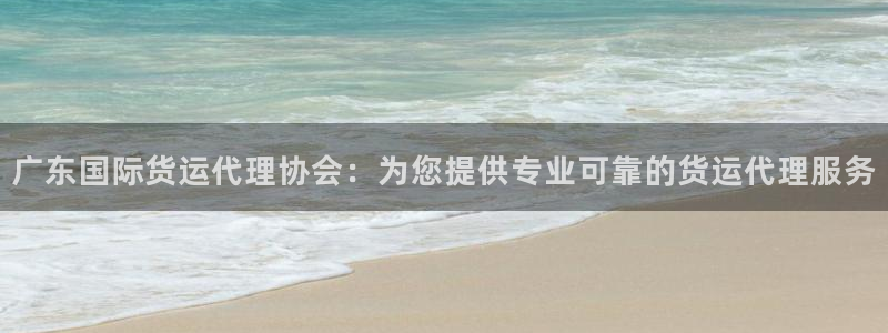 尊龙凯时是直营吗：广东国际货运代理协会：为您提供专业可靠
