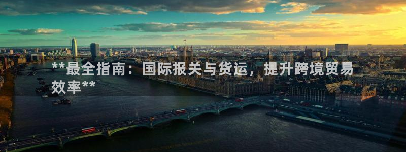 尊龙人生就是博l：**最全指南：国际报关与货运，提升跨境