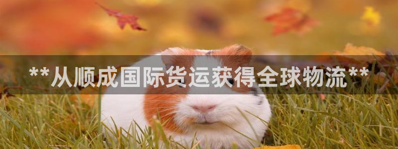 尊龙一人生就是搏：**从顺成国际货运获得全球物流**