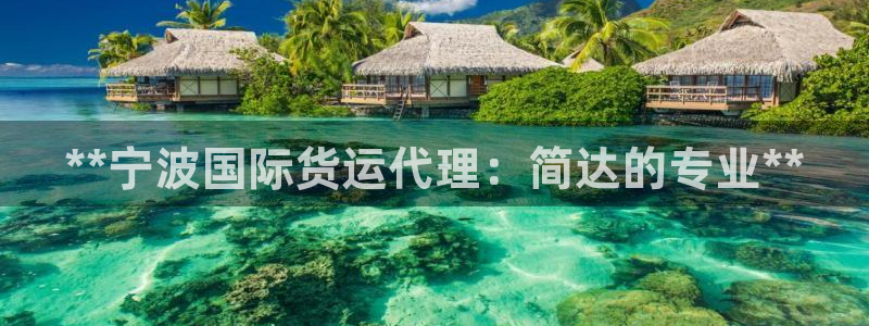 尊龙百度百科：**宁波国际货运代理：简达的专业**