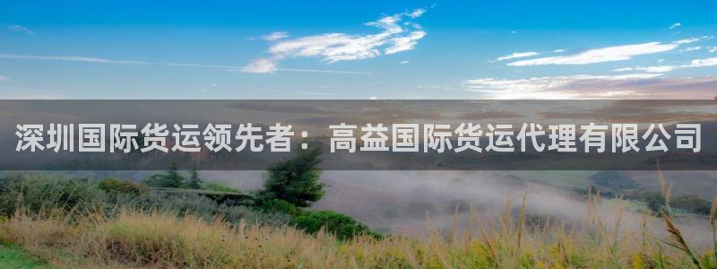 尊龙下载推荐网站：深圳国际货运领先者：高益国际货运代理有