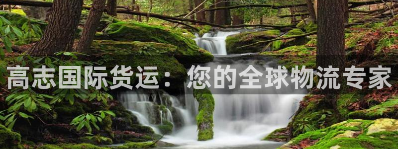 尊龙人生就是博旧版现金娱乐一下：高志国际货运：您的全球物