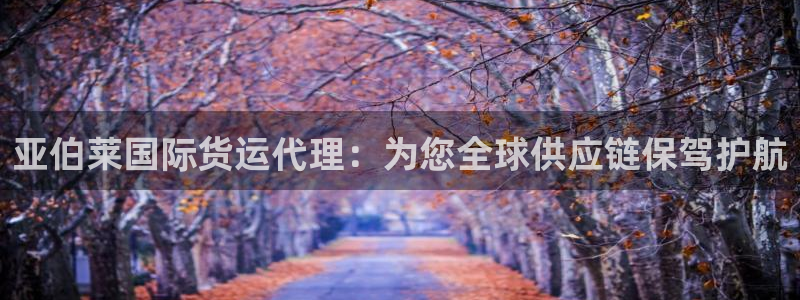 ag旗舰平台尊龙代言：亚伯莱国际货运代理：为您全球供应链
