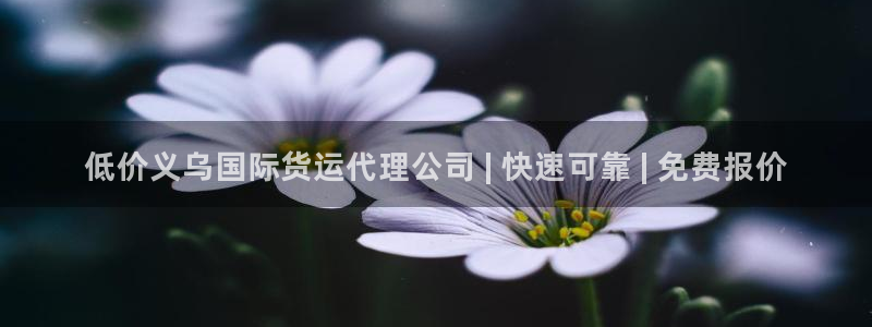 尊龙凯时取款一直支付中：低价义乌国际货运代理公司 | 快