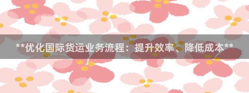 尊龙凯时人生就是搏技术实力：**优化国际货运业务流程：提