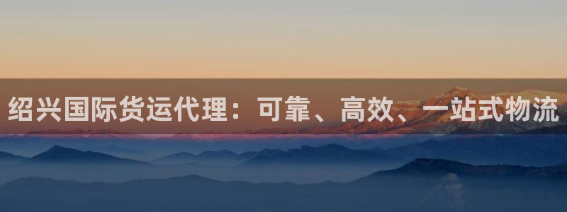 尊龙165：绍兴国际货运代理：可靠、高效、一站式物流